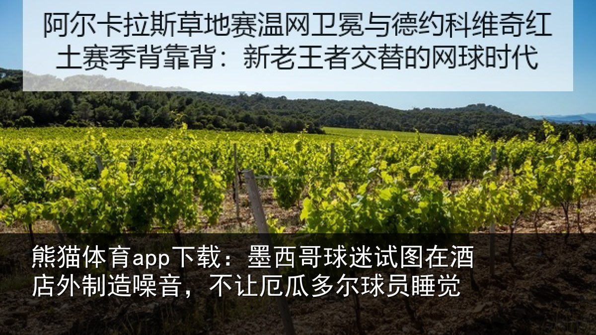 熊猫体育app下载:墨西哥球迷试图相关情况,不让相关情况