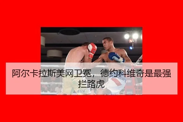 a-er-ka-la-si-mei-wang-wei-mian-de-yue-ke-wei-qi-shi-zui-qiang-lan-lu-hu-2-933.jpg