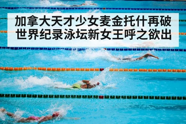 加拿大天才少女麦金托什再破世界纪录泳坛新女王呼之欲出